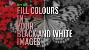 How to Fill Colors in your Black and White images?